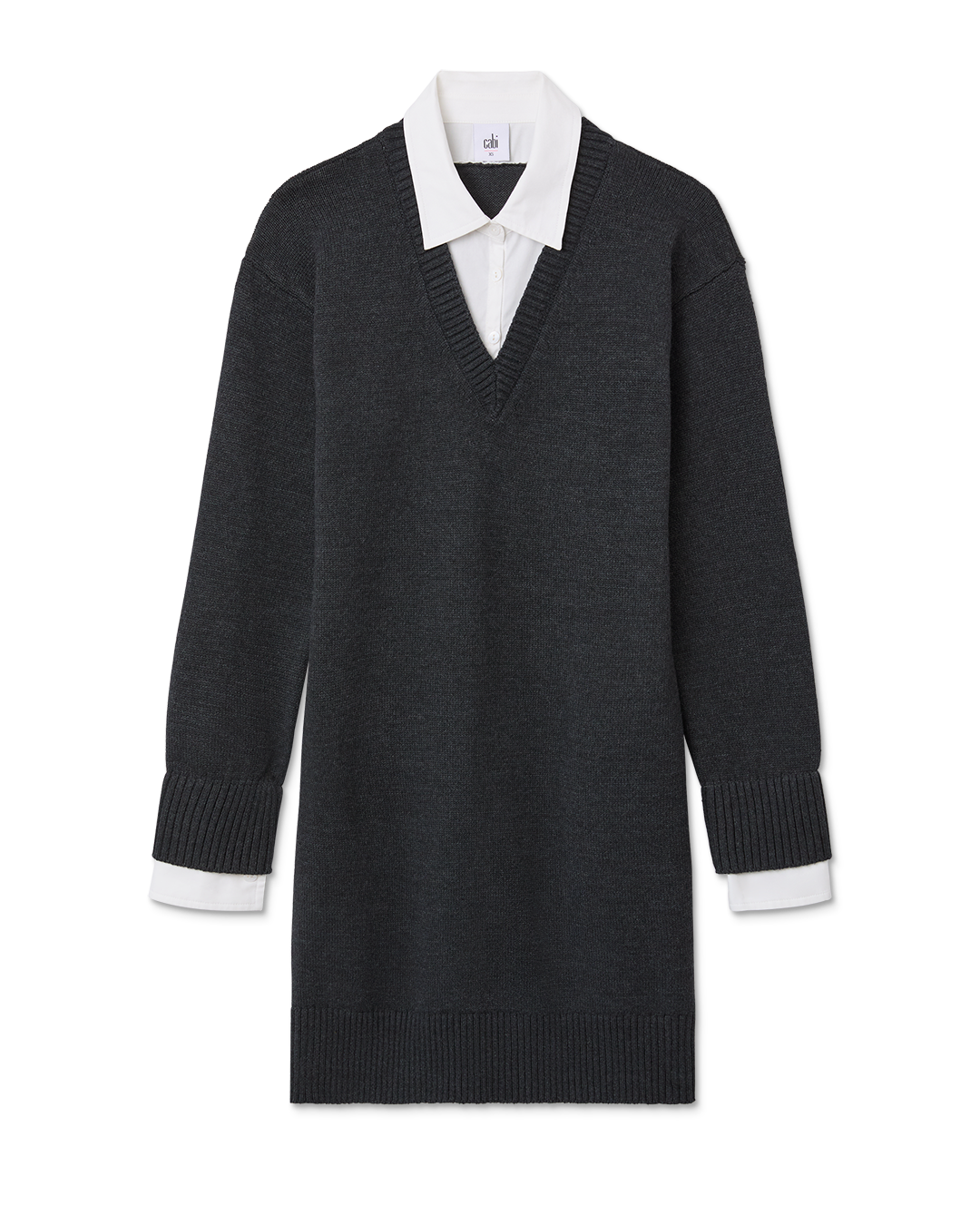 Oxford Dress